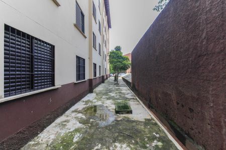 Apartamento para alugar com 55m², 2 quartos e 1 vagaÁrea Comum