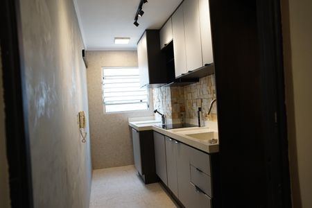 Apartamento para alugar com 50m², 2 quartos e 1 vagaCozinha - Armários
