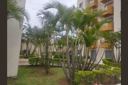 Apartamento à venda com 2 quartos, 63m² em Vila Medeiros, São Paulo