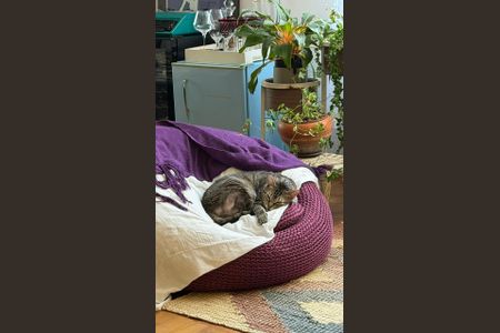 Apartamento à venda com 115m², 2 quartos e 1 vaga