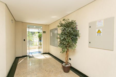 Apartamento para alugar com 79m², 3 quartos e 1 vaga Apartamento para alugar com 79m², 3 quartos e 1 vagaHall Social