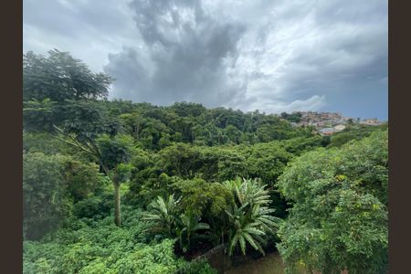 Vista do Quarto 1 de apartamento para alugar com 2 quartos, 576m² em Bairro Jardim Nossa Senhora das Graças, Cotia
