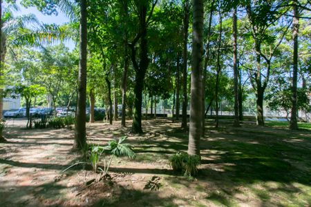 Apartamento à venda com 47m², 2 quartos e 1 vagaÁrea comum 