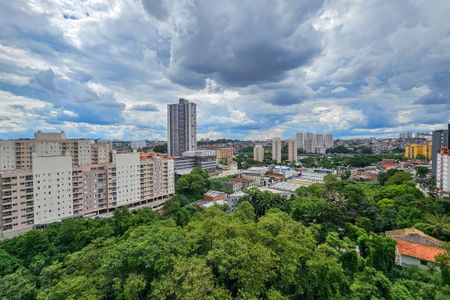 Apartamento para alugar com 66m², 2 quartos e 1 vagaVista da Varanda