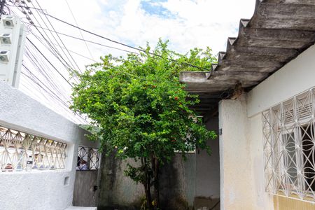 Casa para alugar com 198m², 3 quartos e 1 vagaQuintal