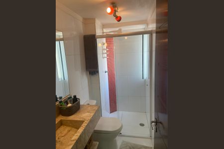 Banheiro de apartamento para alugar com 2 quartos, 49m² em Vila Aricanduva, São Paulo
