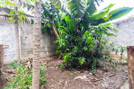 Casa para alugar com 563m², 4 quartos e 3 vagasQuintal