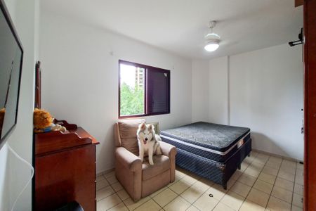 Apartamento para alugar com 70m², 1 quarto e 1 vagaQuarto