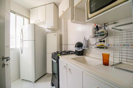 Apartamento para alugar com 60m², 2 quartos e 1 vagaCozinha - Armários