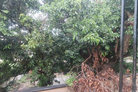 Casa para alugar com 482m², 4 quartos e 6 vagasSuíte