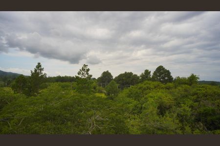 Vista  de apartamento para alugar com 2 quartos, 46m² em Restinga, Porto Alegre