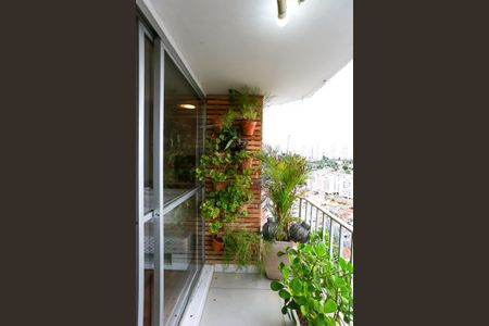 Varanda da Sala de apartamento à venda com 3 quartos, 90m² em Vila Sonia, São Paulo