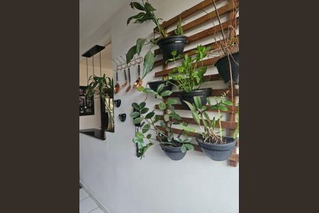 Apartamento à venda com 2 quartos, 45m² em Loteamento Parque São Martinho, Campinas