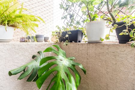 Apartamento à venda com 54m², 2 quartos e 1 vaga Apartamento à venda com 54m², 2 quartos e 1 vagaVaranda