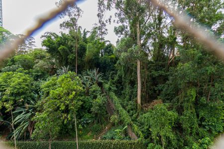 Apartamento à venda com 3 quartos, 85m² em Jardim Ampliacao, São Paulo