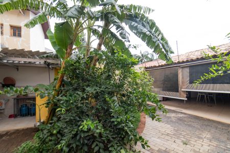 Casa à venda com 280m², 4 quartos e 5 vagasQuintal