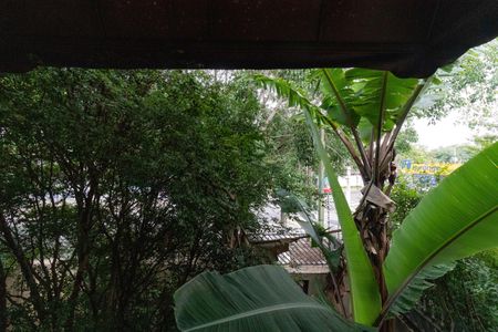 Casa à venda com 280m², 4 quartos e 5 vagasVista do Quarto 1