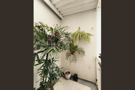 Apartamento à venda com 202m², 3 quartos e sem vagaQuintal