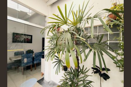 Apartamento à venda com 202m², 3 quartos e sem vagaQuintal