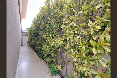 Casa à venda com 380m², 3 quartos e 2 vagasQuintal