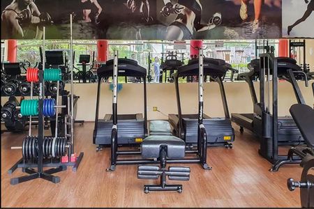 Apartamento à venda com 61m², 3 quartos e 1 vagaÁrea comum - Academia