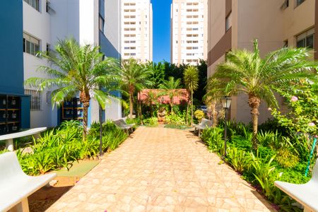 Apartamento para alugar com 64m², 3 quartos e 1 vaga Apartamento para alugar com 64m², 3 quartos e 1 vagaÁrea comum