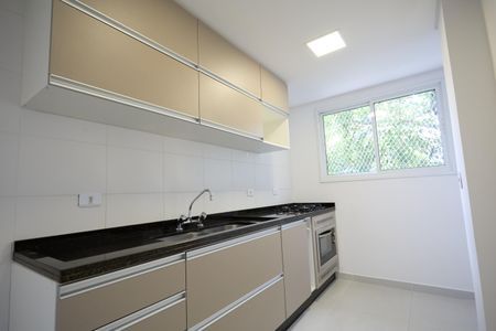 Apartamento para alugar com 77m², 2 quartos e 1 vagaCozinha - Armários