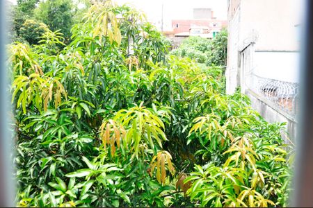 Casa para alugar com 42m², 2 quartos e 1 vagaDetalhe - Vista da Cozinha