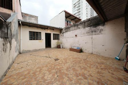 Apartamento para alugar com 79m², 3 quartos e 2 vagasQuintal