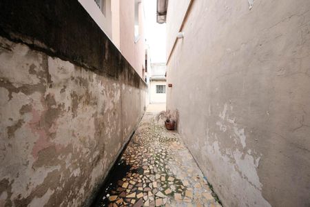 Apartamento para alugar com 79m², 3 quartos e 2 vagasQuintal