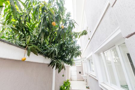 Casa de condomínio à venda com 600m², 4 quartos e 2 vagasCorredor