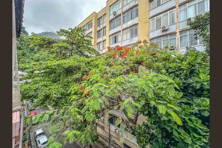 Apartamento para alugar com 1 quarto, 30m² em Laranjeiras, Rio de Janeiro