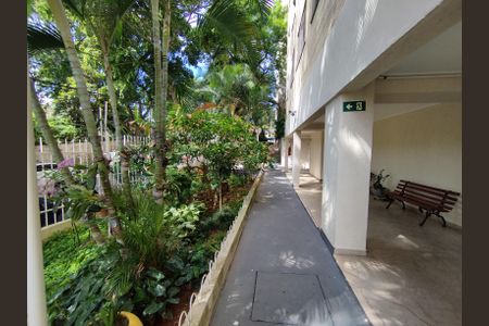 Área comum de apartamento para alugar com 2 quartos, 66m² em Jardim da Saúde, São Paulo
