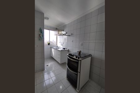 Apartamento para alugar com 66m², 2 quartos e 1 vagaCozinha - Armários