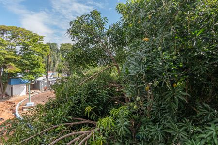 Vista Varanda  de apartamento para alugar com 2 quartos, 50m² em Jardim Santa Izabel, Hortolândia