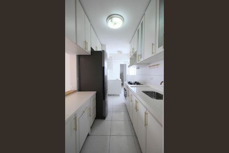 Cozinha - Armários de apartamento para alugar com 2 quartos, 78m² em Vila Suzana, São Paulo
