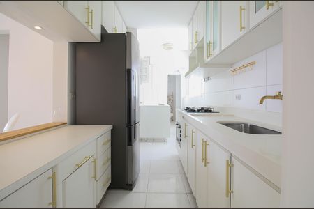 Cozinha - Armários de apartamento para alugar com 2 quartos, 78m² em Vila Suzana, São Paulo