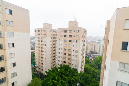 Vista da Sala de apartamento à venda com 2 quartos, 60m² em Vila Campestre, São Paulo