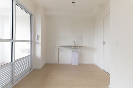 Cozinha  de apartamento para alugar com 2 quartos, 40m² em Vila Dom Pedro I, São Paulo