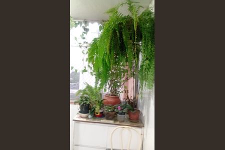 Apartamento à venda com 115m², 4 quartos e 1 vaga