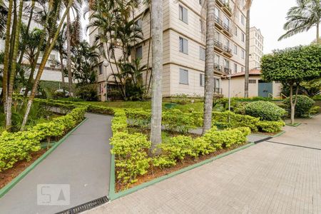 Apartamento para alugar com 63m², 3 quartos e 1 vagaÁrea Verde 
