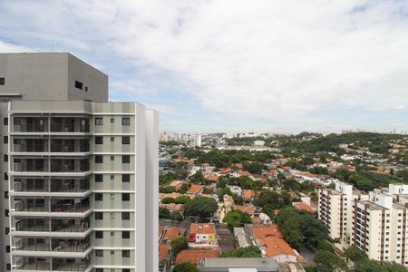 Vista da Varanda de apartamento para alugar com 2 quartos, 74m² em Caxingui, São Paulo