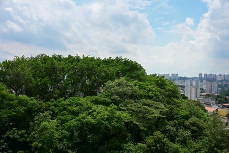 Apartamento para alugar com 54m², 2 quartos e 1 vagaVista