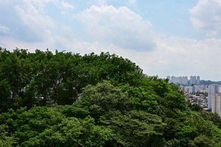 Apartamento para alugar com 54m², 2 quartos e 1 vagaVista do Quarto