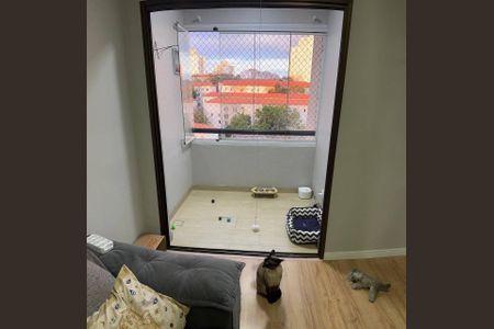 Apartamento à venda com 2 quartos, 60m² em Lauzane Paulista, São Paulo