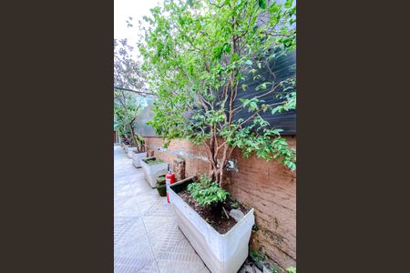 Casa para alugar com 130m², 3 quartos e sem vagaÁrea externa