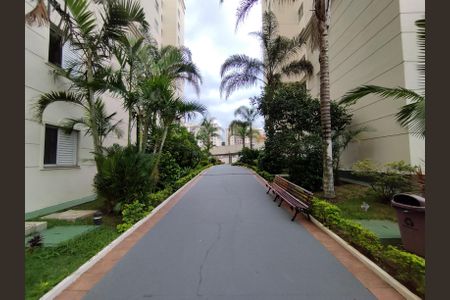 Apartamento para alugar com 67m², 3 quartos e 1 vaga Apartamento para alugar com 67m², 3 quartos e 1 vagaÁrea comum