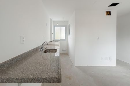 Apartamento para alugar com 31m², 1 quarto e sem vagaCozinha