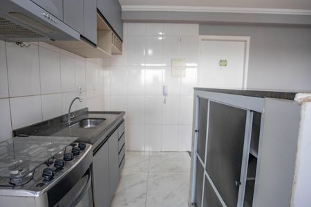 Apartamento para alugar com 43m², 2 quartos e 1 vagaCozinha 