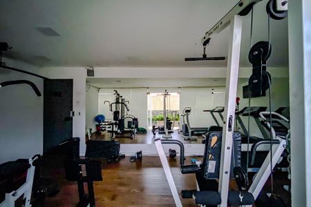 Apartamento para alugar com 255m², 4 quartos e 3 vagasÁrea comum - Academia